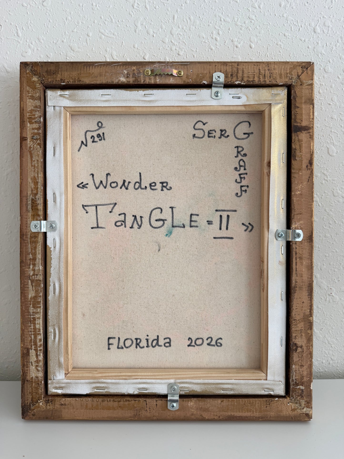 Serg Graff "Wonder Tangle=II" Abstract Acrylic Painting Framed Outsider Art COA