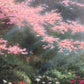 Thomas Kinkade "The Garden of Prayer II" on S/N Canvas, 24" x 30" Limited Edition
