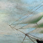 Large Vintage Maritime Oil Painting Clipper Ship Signed Sanders, Gorgeous Frame
