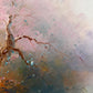 Large Impressionist Landscape Oil Painting Signed Bachmann Lakeside Garden