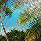 Tropical Beach Oil Painting Signed M Gordon, Palm Tree Seascape, Caribbean Coast