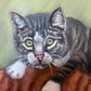 Signed Oil Painting of Three Cats, Cat Lover Wall Art, Framed Feline Portrait