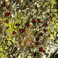 Serg Graff "The Pirate Gold Map Original Mixed Media Shell Painting Treasure Art