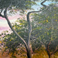 M Gordon Signed Oil Painting Tropical Sunset Seascape Ocean Landscape Framed