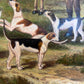Large  Painting Horses Fox Hunting Scene with Hounds Signed Willson Framed