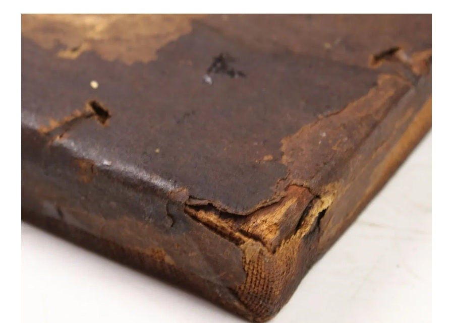 1899 Irma Vauthier Antique Oil Painting European Genre Scene by Gilt Frame